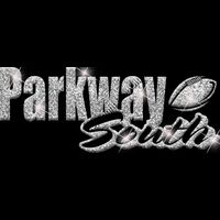 GLT1 SILVER GLITTER Thumbnail